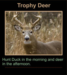 Trophy Deer Hunt Duck in the morning and deer in the afternoon.